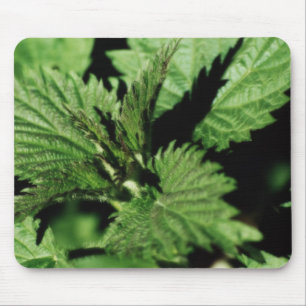 Mauspad Grün Mint, Garten, Foto, anpassbar