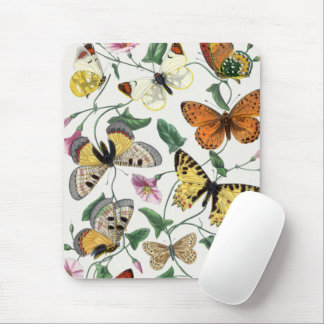 Mauspad Hübscher Schmetterling Vitntage Illustrati