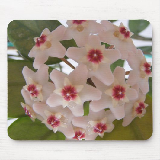 Mauspad mit Blume (Vorne)