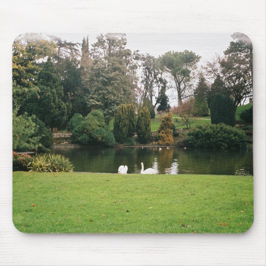 Mauspad mit Landschaft (Vorne)
