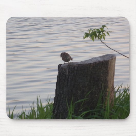 Mauspad mit Vogel auf einem Baumstumpf (Vorne)