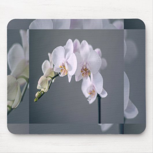 Mauspad mit weißen Blumen (Vorne)