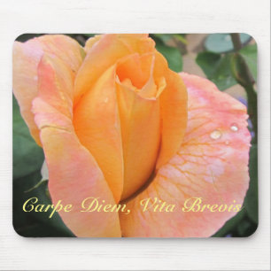Mauspad--Orange Rose mit Regentropfen Mousepad