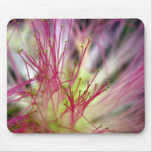Mauspad - Seidenbaumblüte (Mimosa Tree)
