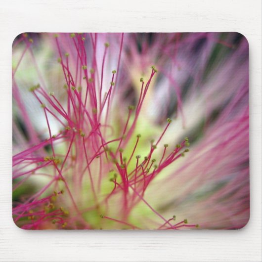 Mauspad - Seidenbaumblüte (Mimosa Tree) (Vorne)