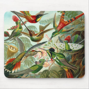 Mauspad Vintage Künstler Ernst Haeckel Trochilidae