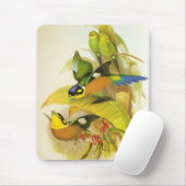 Mauspad Vintage Langschwanz-Breitrachen Vögel (Mit Mouse)