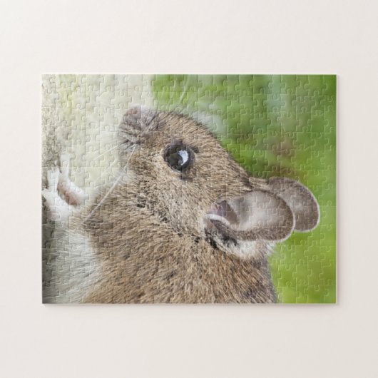 Mausprofil Puzzle (Horizontal)