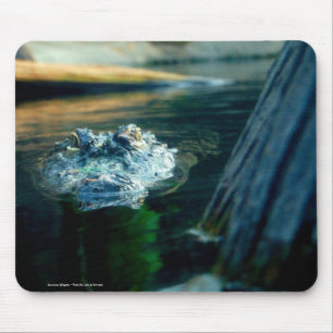 Mausunterlage-amerikanischer Alligator - Foto Mousepad
