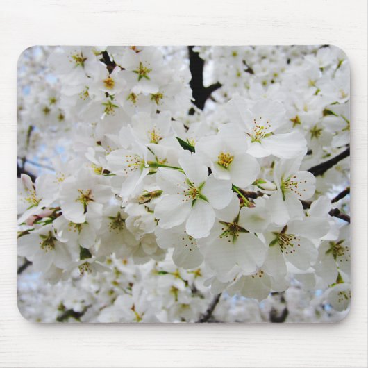 Mausunterlage der Kirschblüten-3 Mousepad (Vorne)