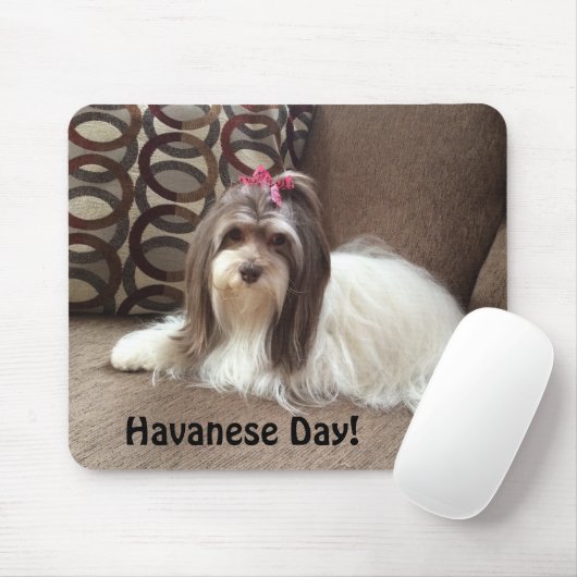 Mausunterlage für Havanese Hundeliebhaber: Mousepad (Mit Mouse)