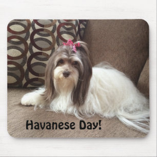 Mausunterlage für Havanese Hundeliebhaber: Mousepad