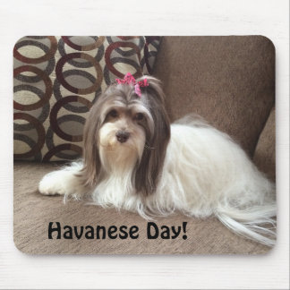 Mausunterlage für Havanese Hundeliebhaber: Mousepad