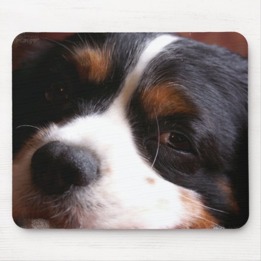 Mausunterlage König-Charles Cavalier Spaniel Mousepad (Vorne)