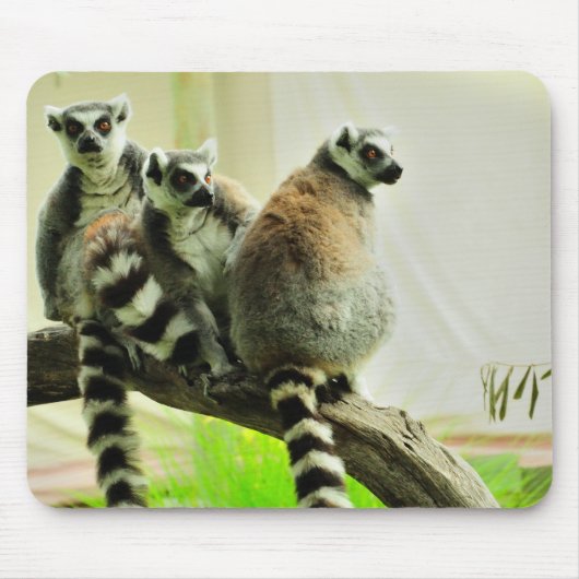 Mausunterlage - Lemur-Ring angebunden Mousepad (Vorne)
