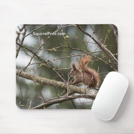 Mausunterlage mit Eichhörnchen Mousepad (Mit Mouse)