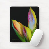 Mausunterlage Mousepad (Mit Mouse)