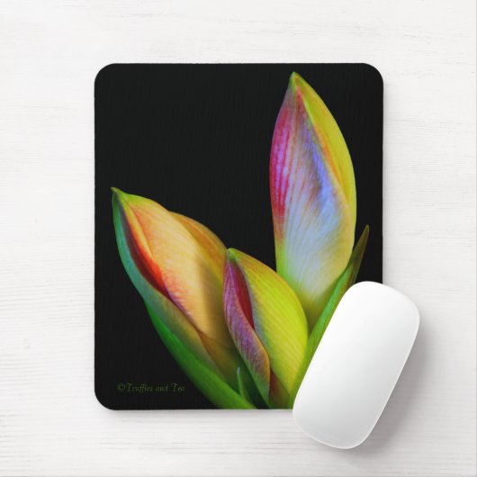 Mausunterlage Mousepad (Mit Mouse)