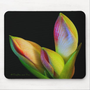 Mausunterlage Mousepad