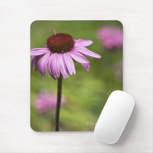 Mausunterlage Mousepad (Mit Mouse)