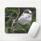 Mausunterlage Mousepad (Mit Mouse)