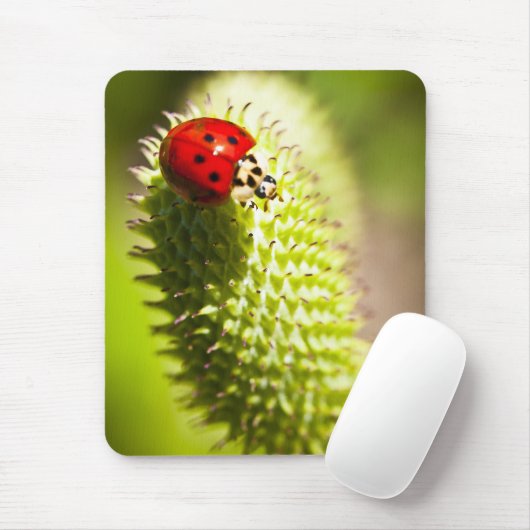 Mausunterlage Mousepad (Mit Mouse)