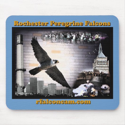 Mausunterlage-Rochester-Wanderfalken Mousepad (Vorne)