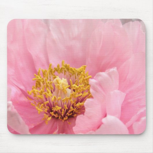 Mausunterlage: Rosa Baum-Pfingstrose Mousepad (Vorne)