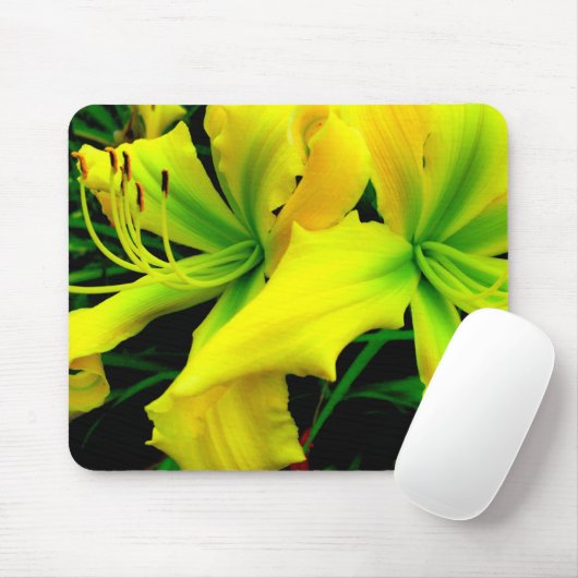 Mausunterlage: Taglilie Mousepad (Mit Mouse)