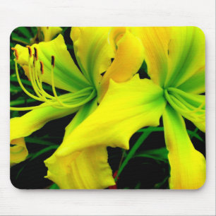 Mausunterlage: Taglilie Mousepad