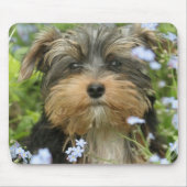 Mausunterlage Yorks Terrier Mousepad (Vorne)