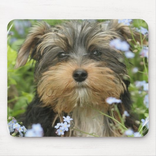 Mausunterlage Yorks Terrier Mousepad (Vorne)