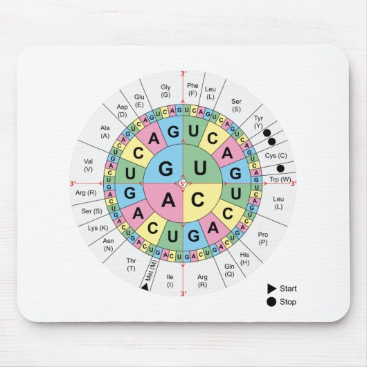 Mausunterlagecodons-Aminosäure-genetischer Code Mousepad (Vorne)