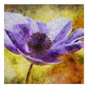 Mauve Anemone Blume Acrylmalerei Poster