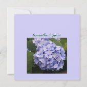 Mauve Chrysanthemum Wedding Einladung (Rückseite)