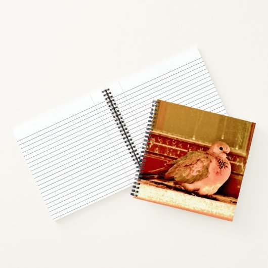 Mauve Dove Notizblock (Innenseite)