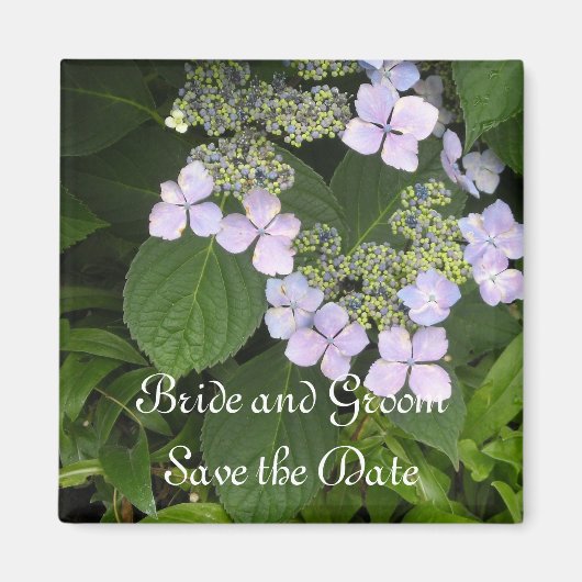 Mauve Hydrangea Save-the-Date-Karte Magnet (Vorne)