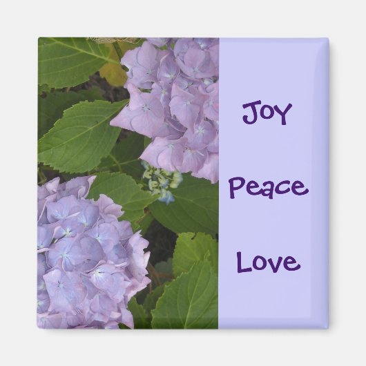 Mauve Hydrangeas Magnet (Vorne)