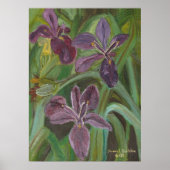 Mauve LA Iris Poster (Vorne)