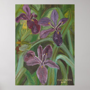 Mauve LA Iris Poster