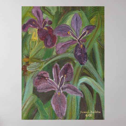 Mauve LA Iris Poster (Vorne)