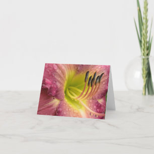 Mauve Lily Bloom im Regen - Grußkarte Karte