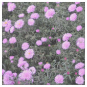 Mauve Michaelmas Daisies Stoff (Nahaufnahme)