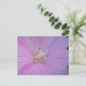 Mauve musquée (2) postkarte (Stehend Vorderseite)