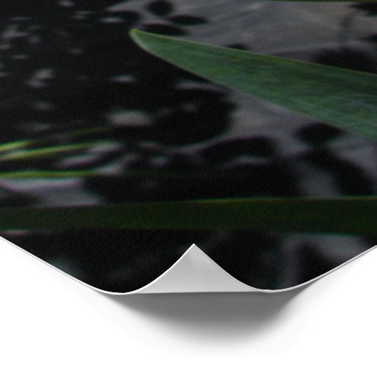 Mauve Pink Iris Floral Blume Foto Poster (Ecke)