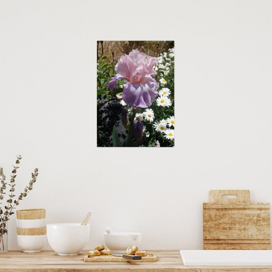 Mauve Pink Iris Floral Blume Foto Poster (Küche)