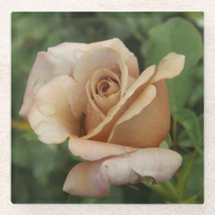Mauve Rose Glass Untersetzer