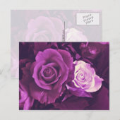 Mauve-Rose im Bloom Postcard Postkarte (Vorne/Hinten)