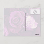Mauve-Rose im Bloom Postcard Postkarte (Rückseite)
