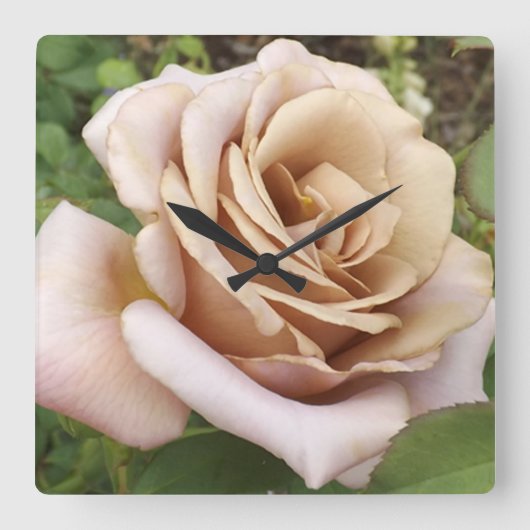 Mauve Rose Quadratische Wanduhr (Vorderseite)